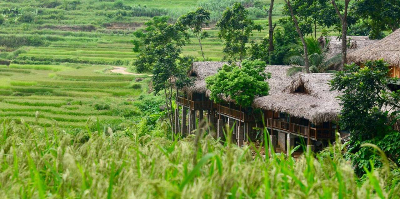 Puluong Valley Home Thanh Hóa Kültér fotó
