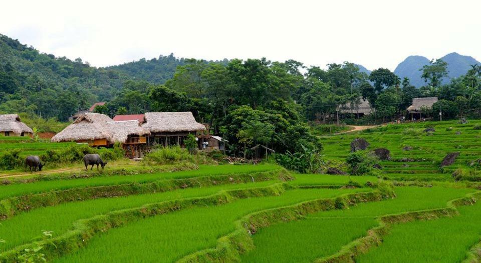 Puluong Valley Home Thanh Hóa Kültér fotó
